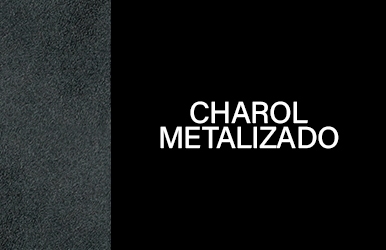botones otonoinvierno2025 charolmetalizado