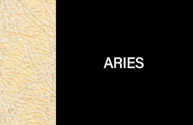 botones primaveraverano2025 aries