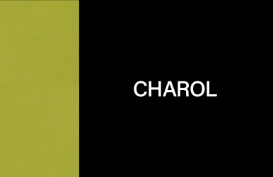 botones primaveraverano2025 charol