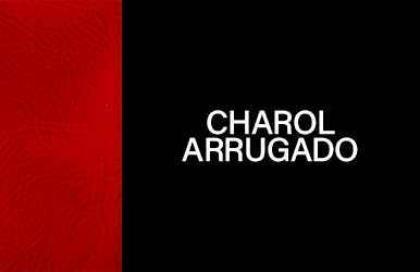 botones primaveraverano2025 charolarrugado