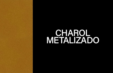 botones primaveraverano2025 charolmetalizado