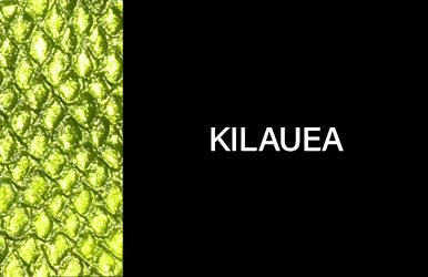 botones primaveraverano2025 kilauea