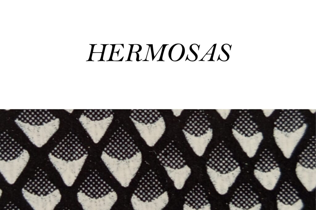 primavera verano 26 hermosas