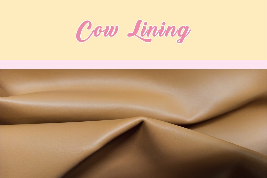 primavera verano '27 cow lining
