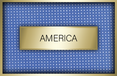 botones stock america