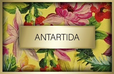 botones stock antartida