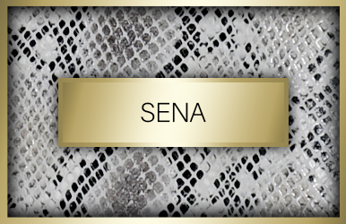 botones stock sena