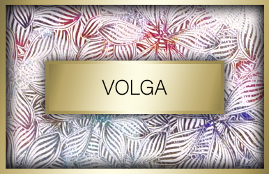 botones stock volga
